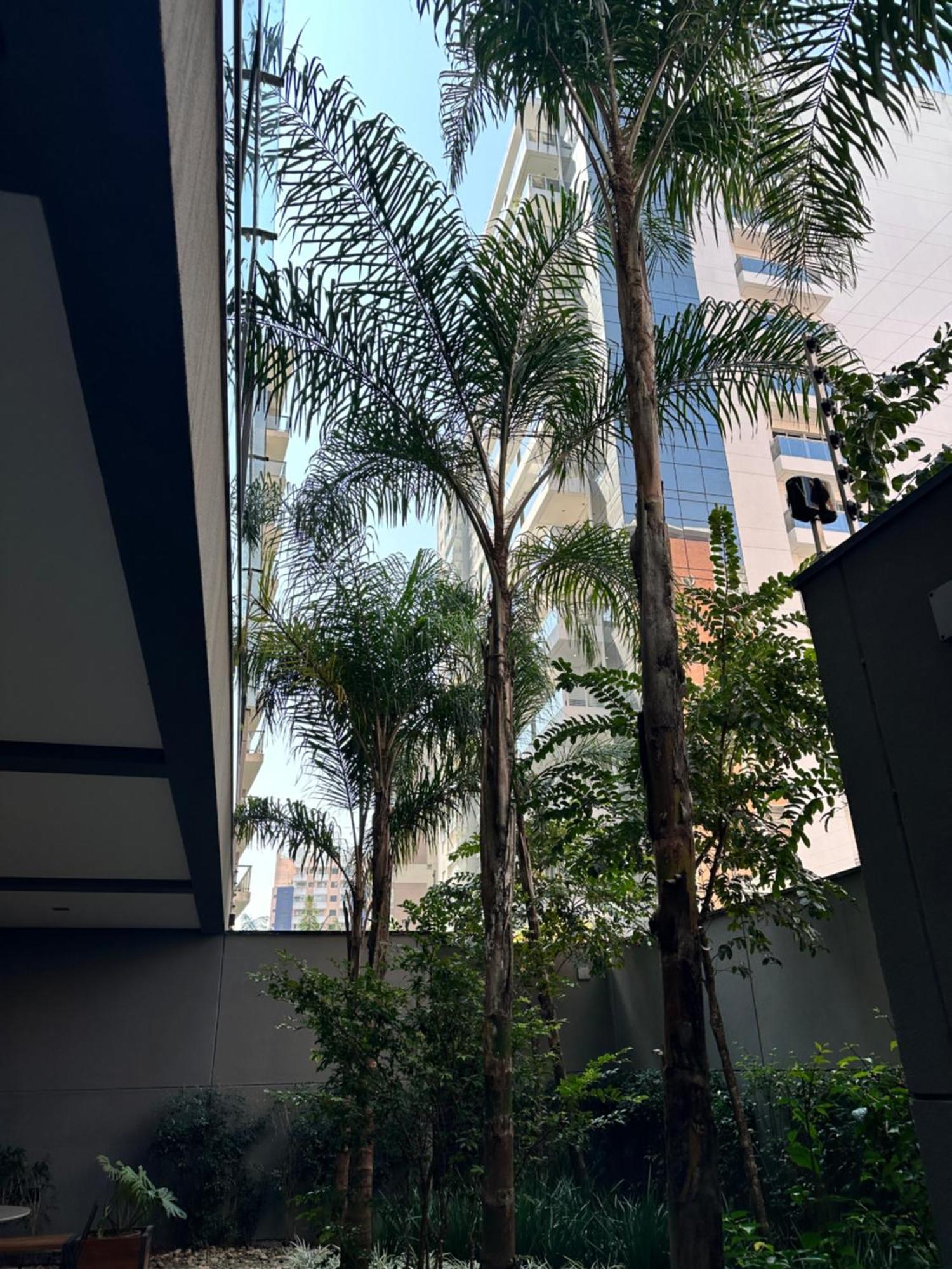 Ap102 Prox Paulista Com Varanda Retiro Urbano São Paulo Buitenkant foto